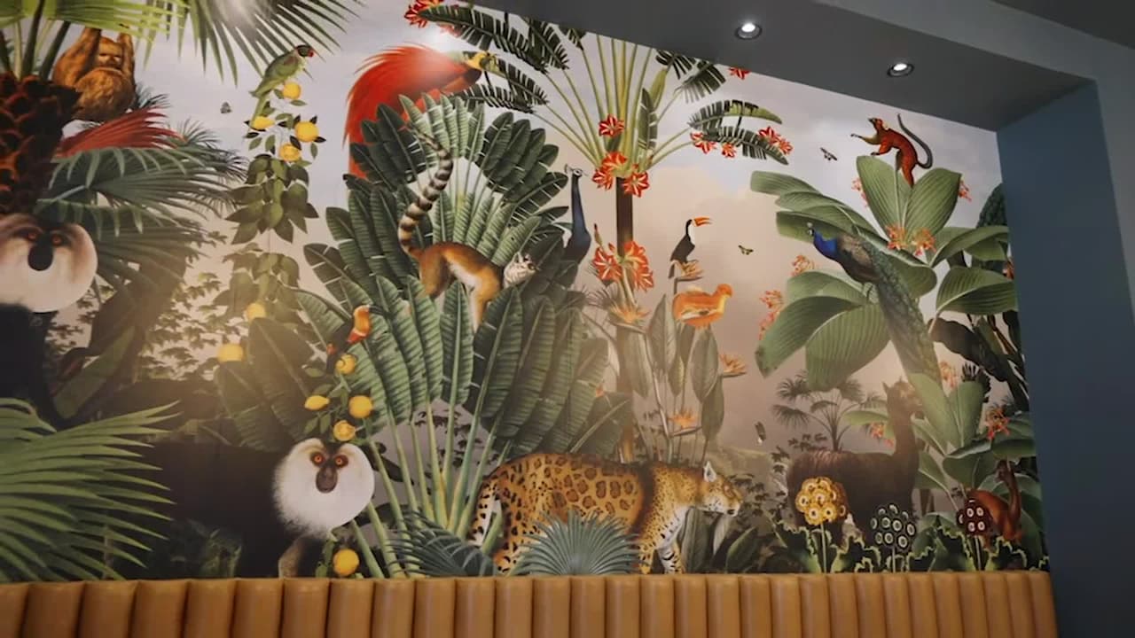 Property video