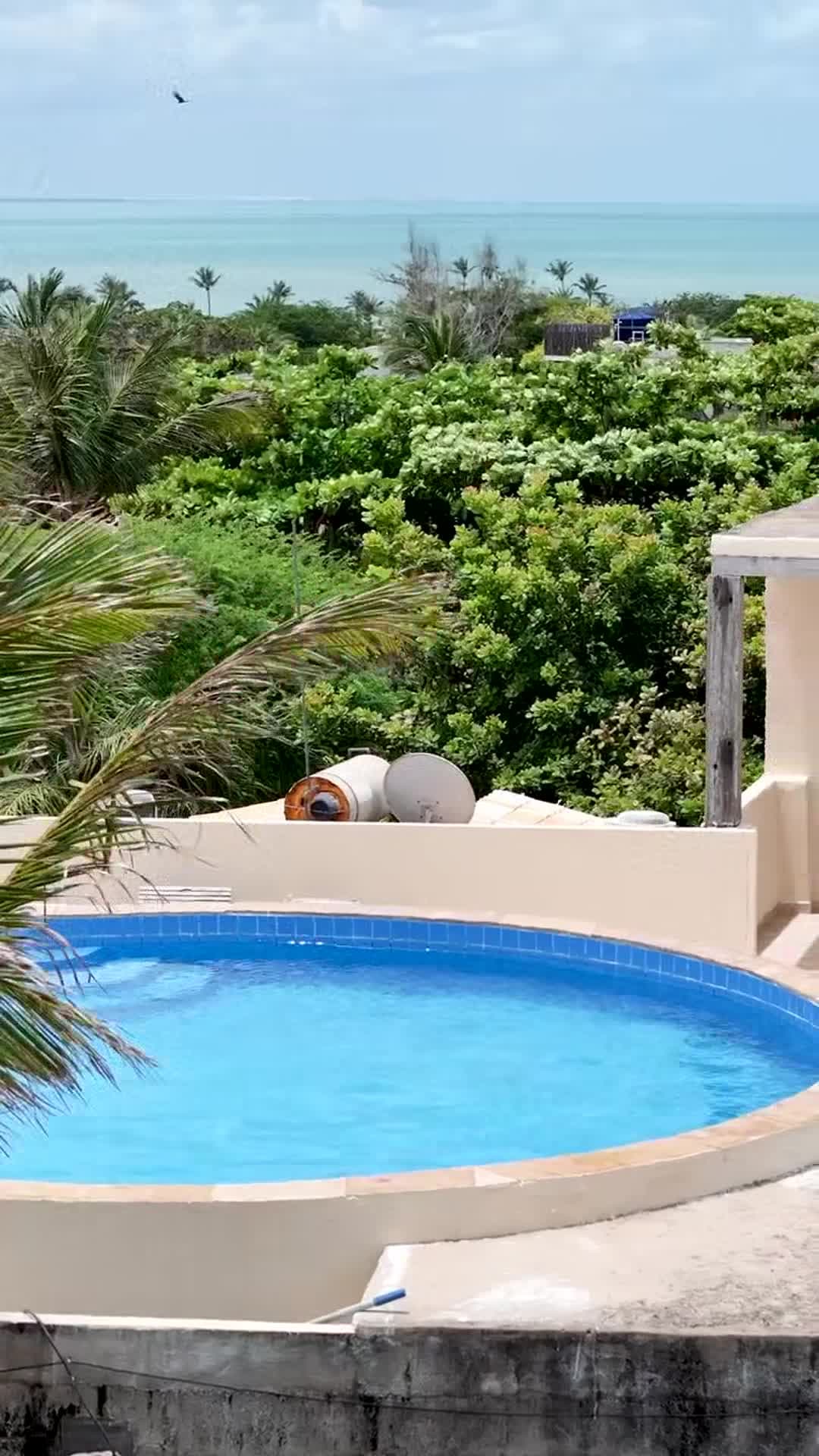 Video realizado por la propiedad