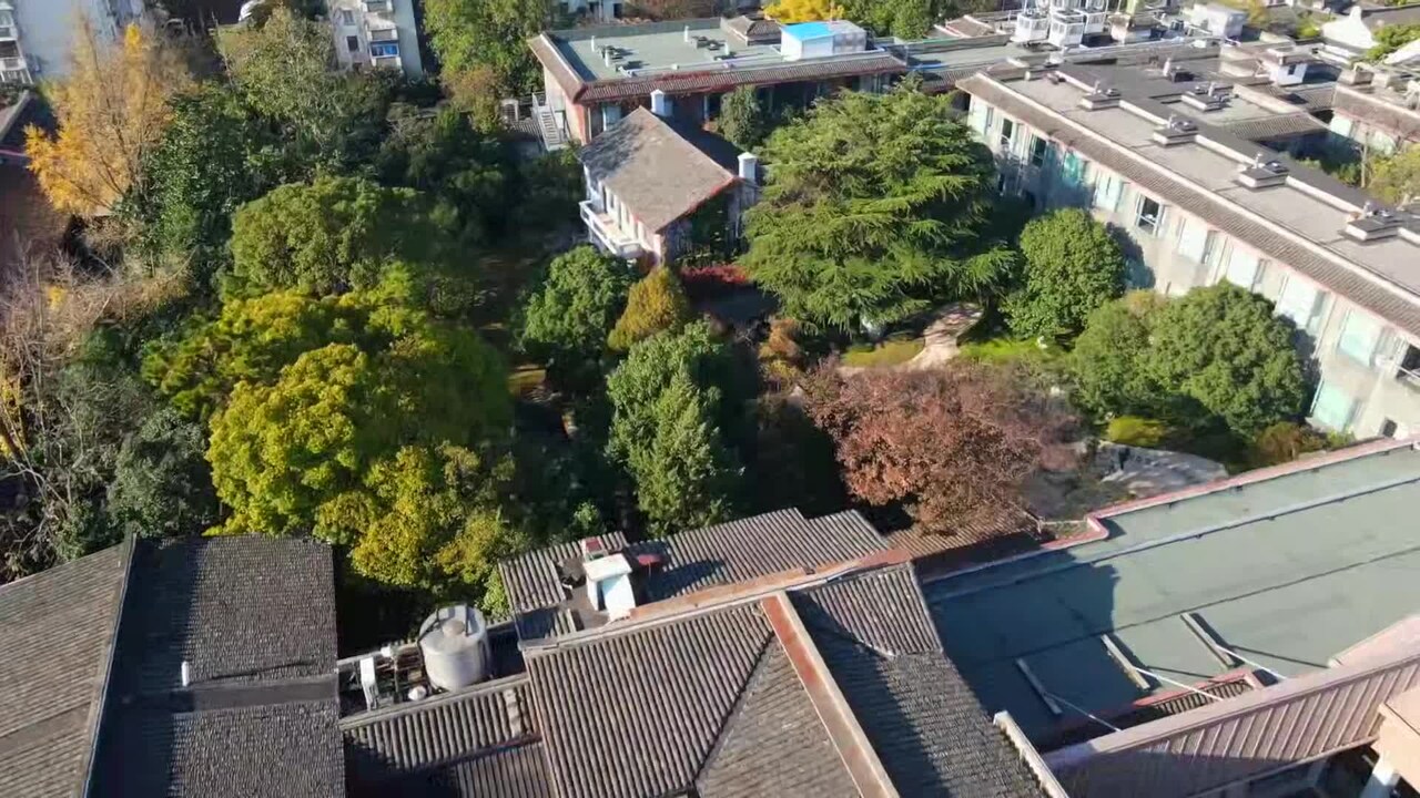 Video realizado por la propiedad
