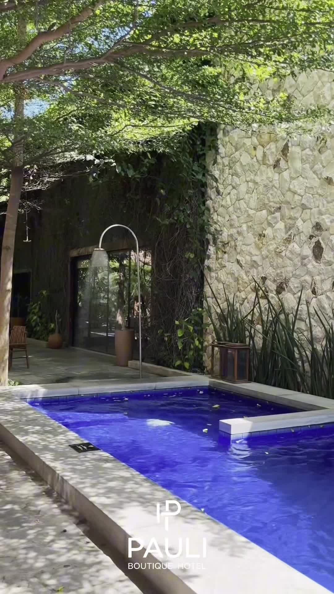 Video realizado por la propiedad