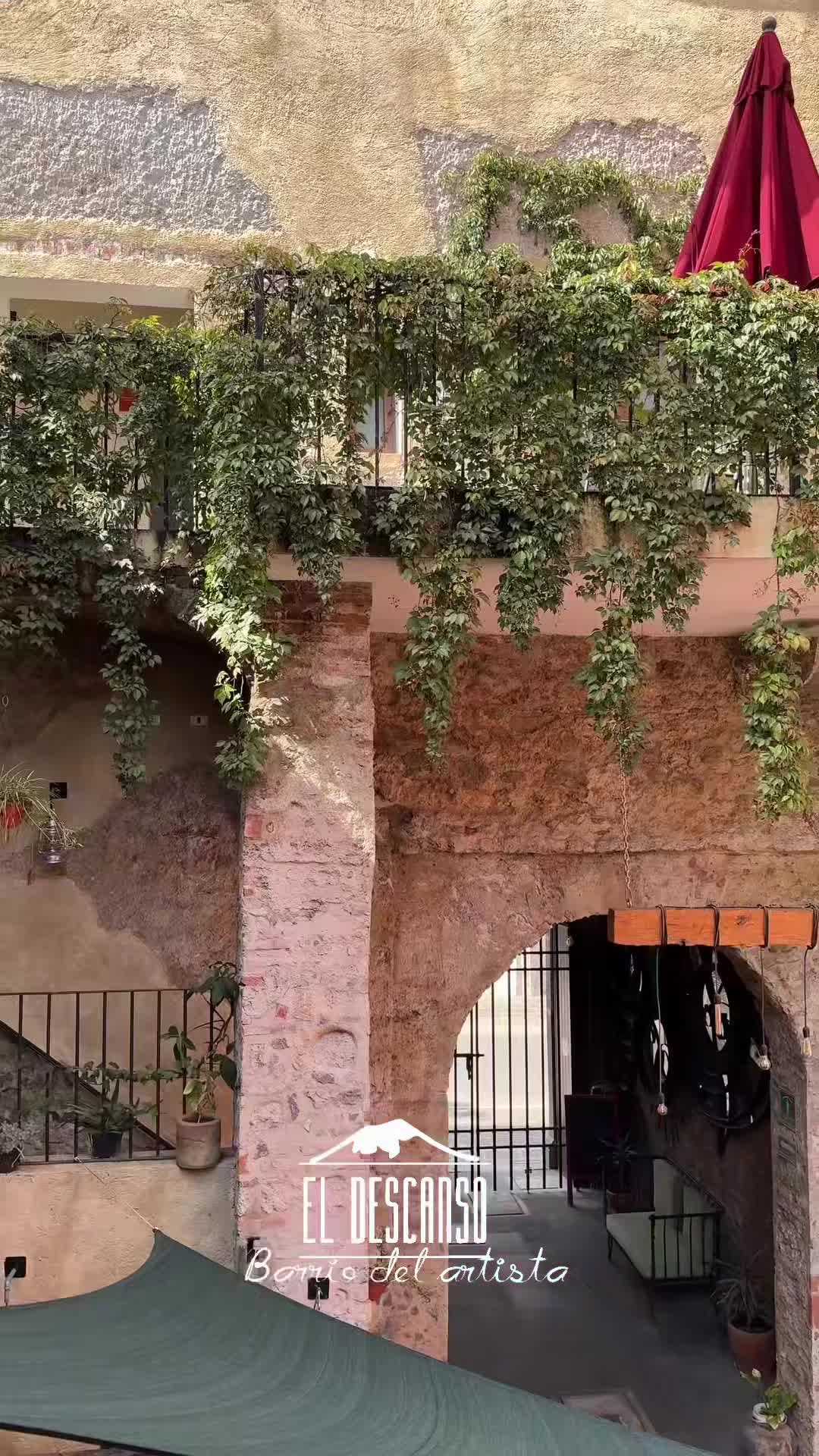 Property video