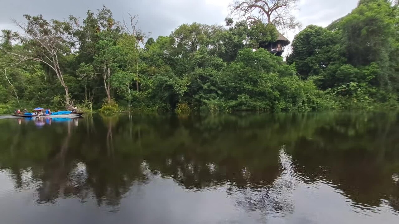 Property video