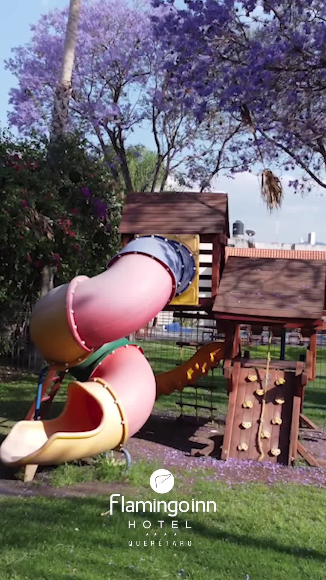 Video realizado por la propiedad