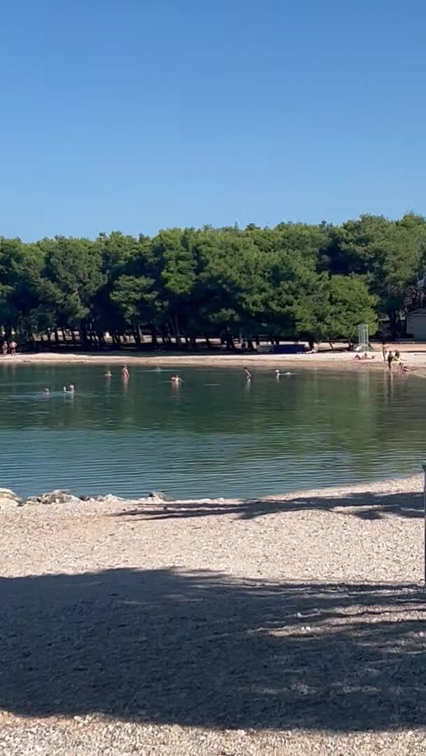 宿泊施設による動画