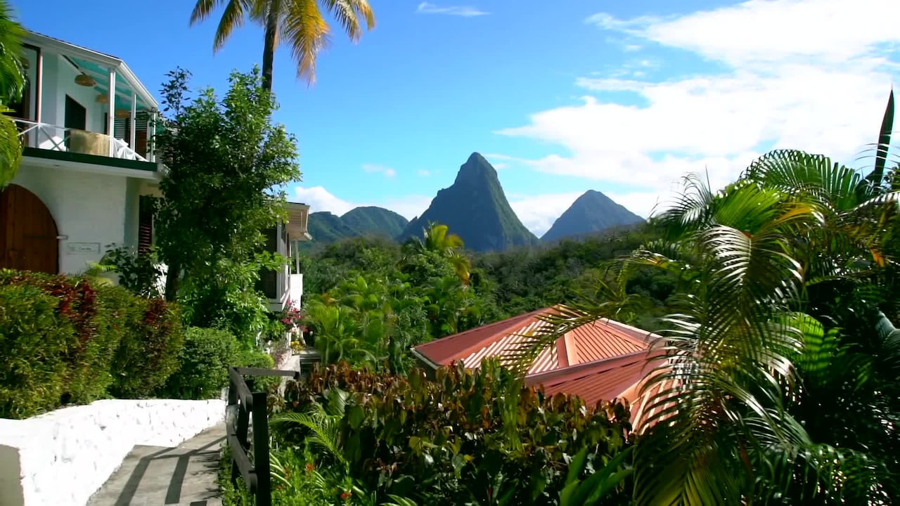 Property video