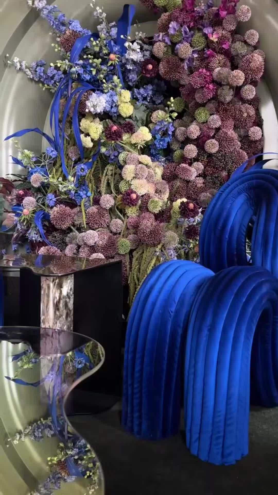 Video realizado por la propiedad