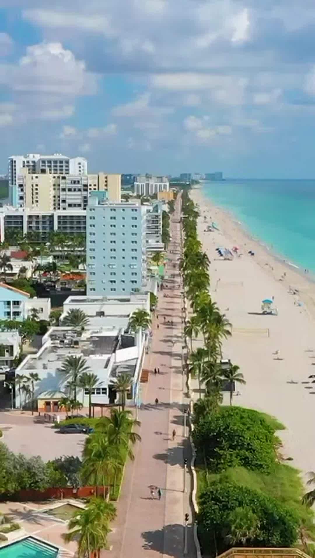 Video realizado por la propiedad