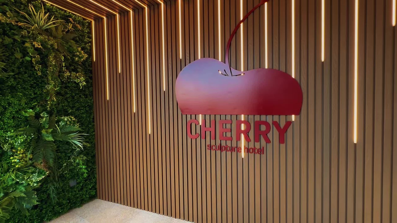 Property video