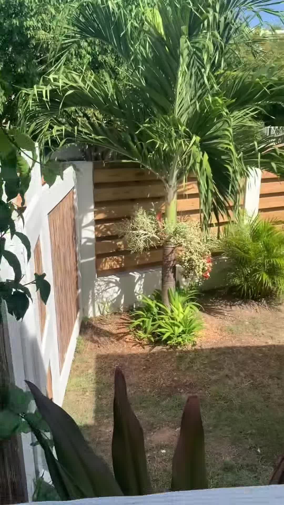 Video realizado por la propiedad
