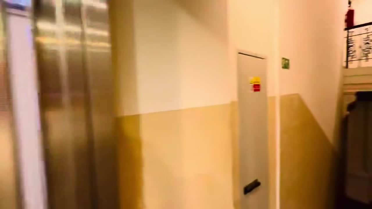 Video realizado por la propiedad