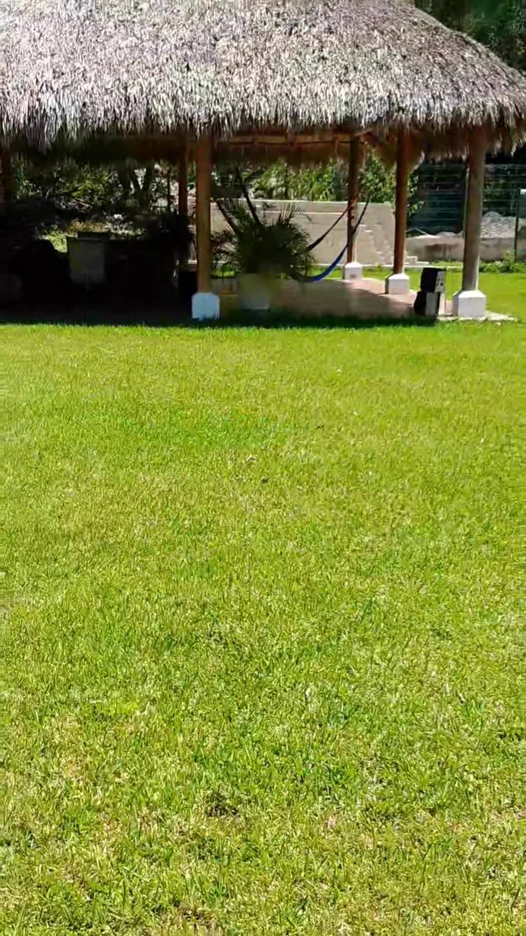 Video của nơi lưu trú