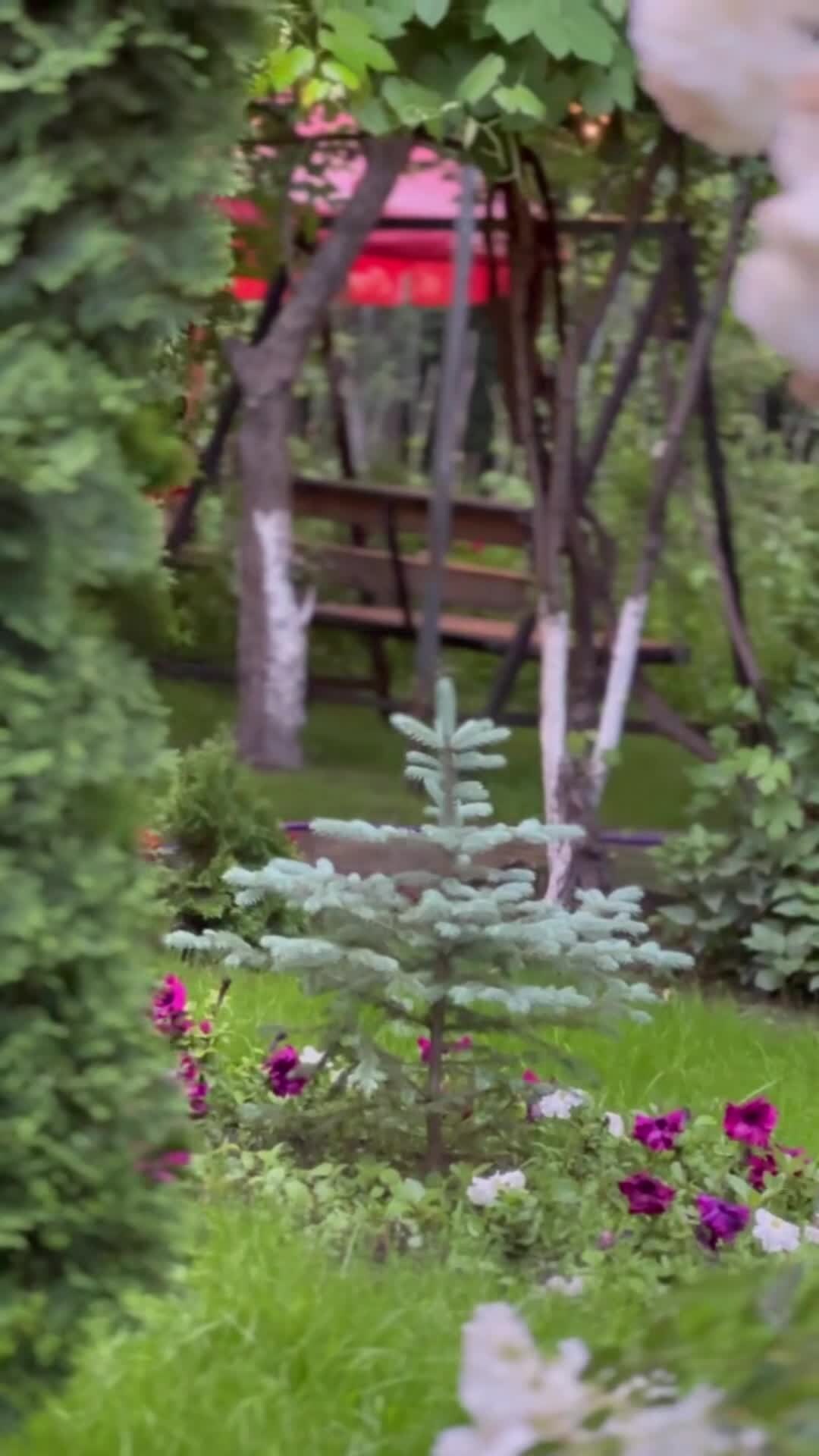 Property video