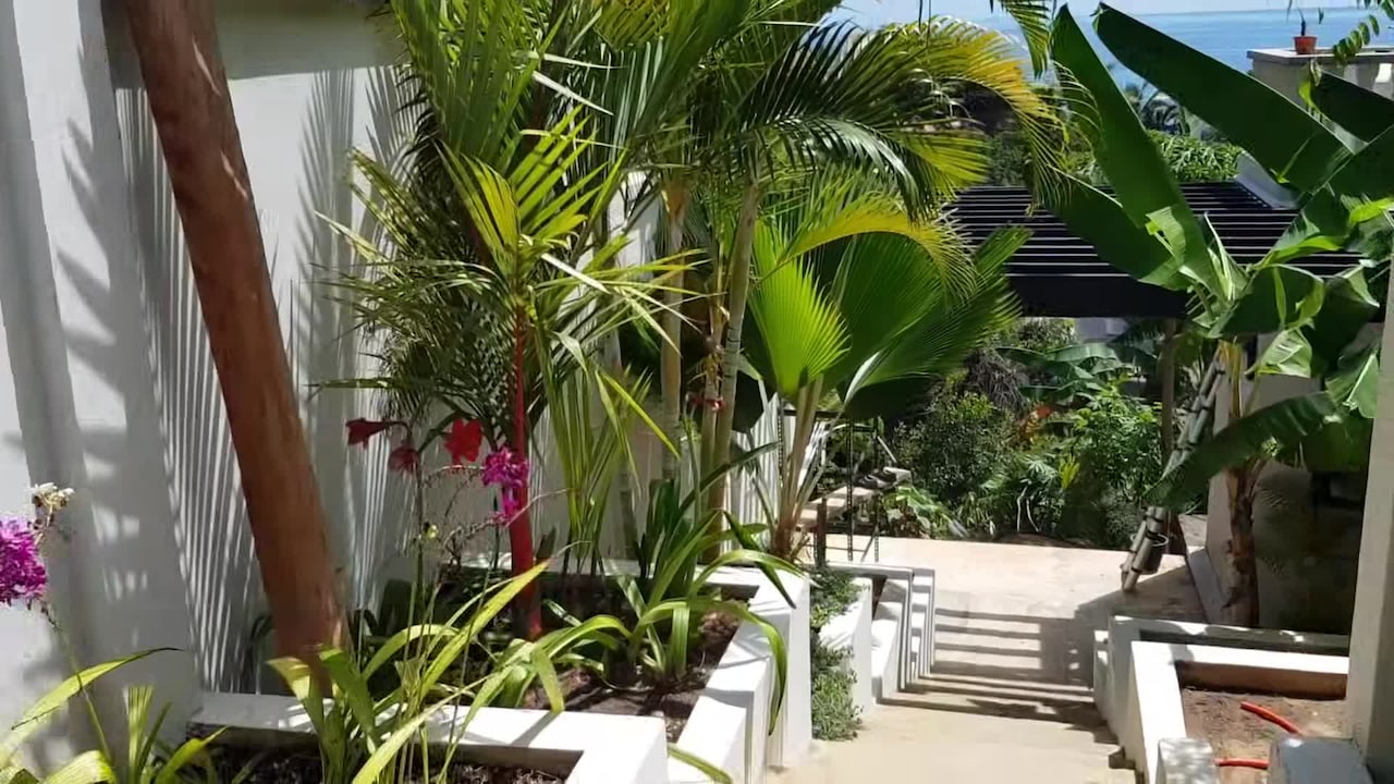 วิดีโอจากที่พัก