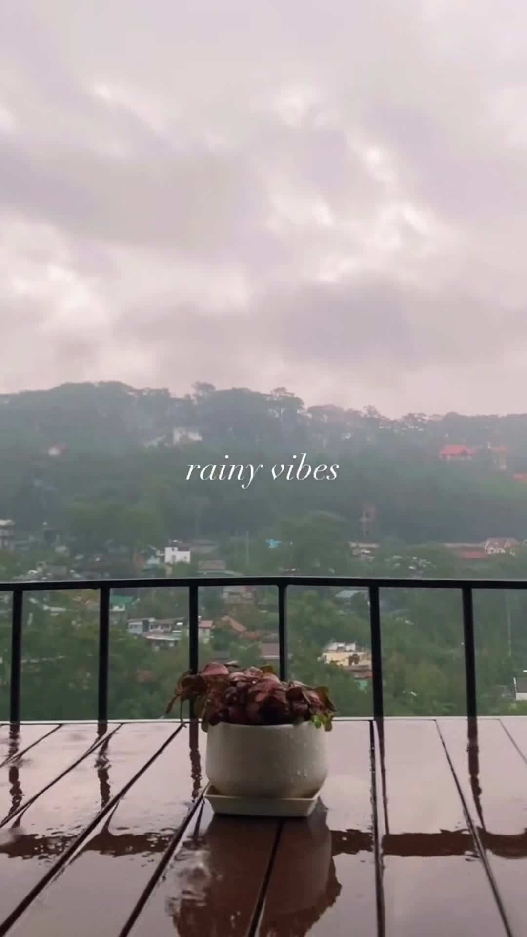 فيديو المنشأة الفندقية