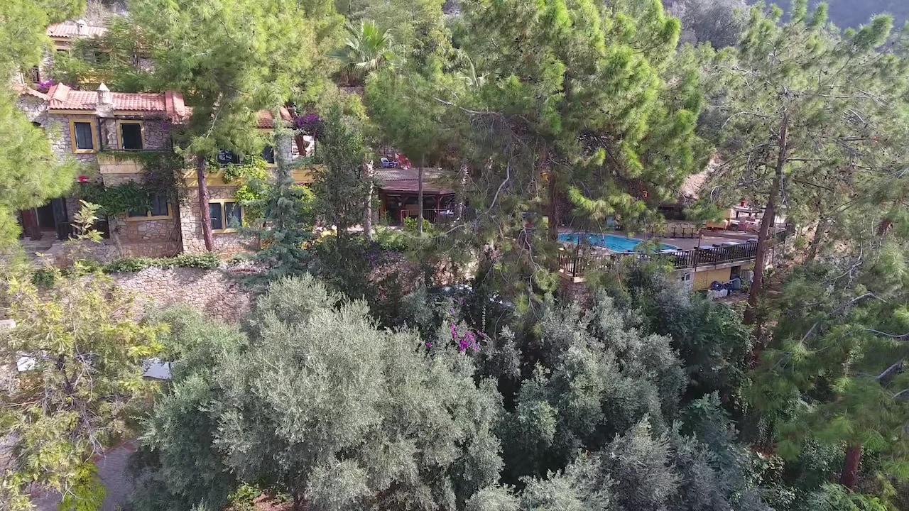فيديو المنشأة الفندقية