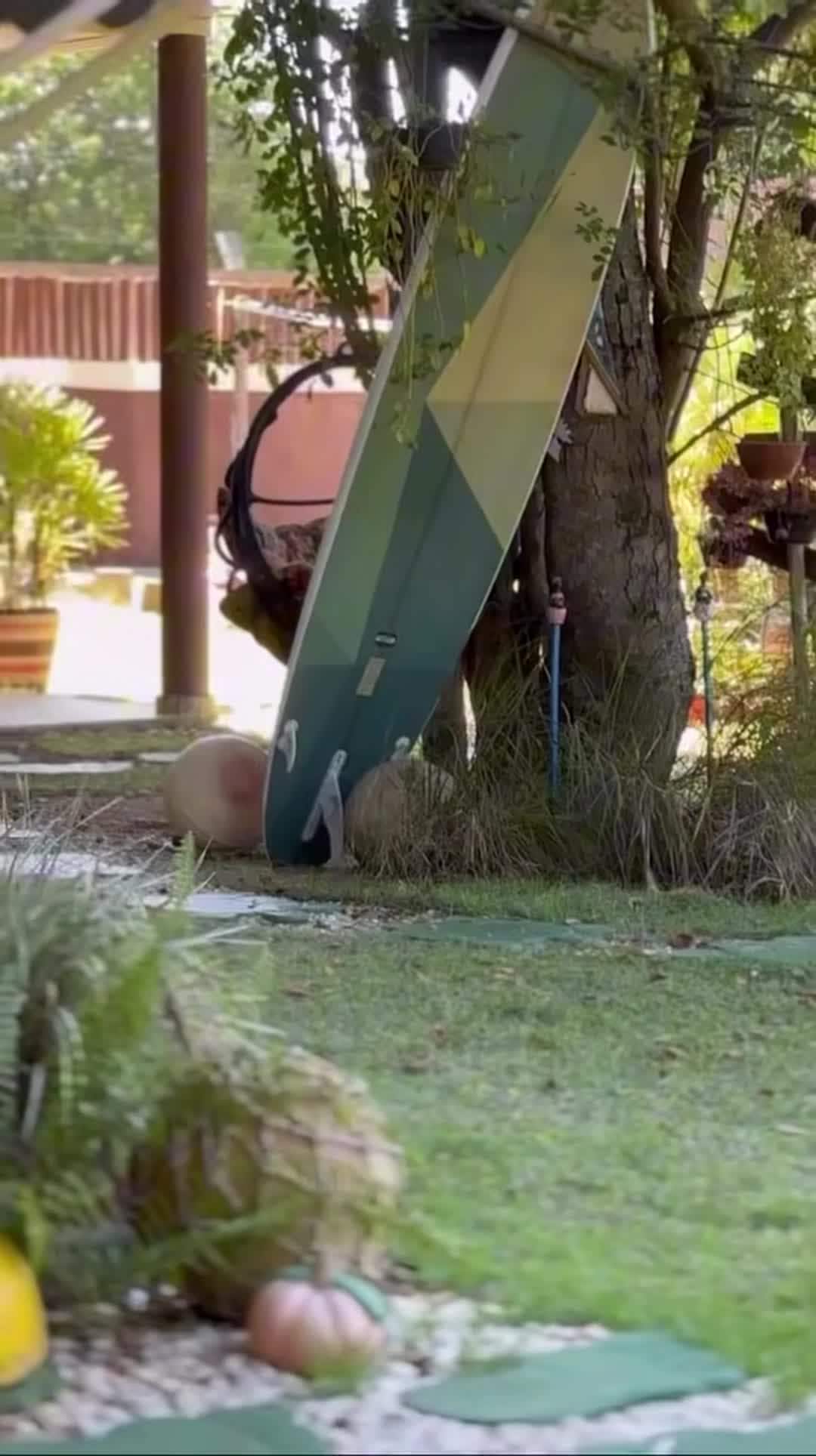 Property video