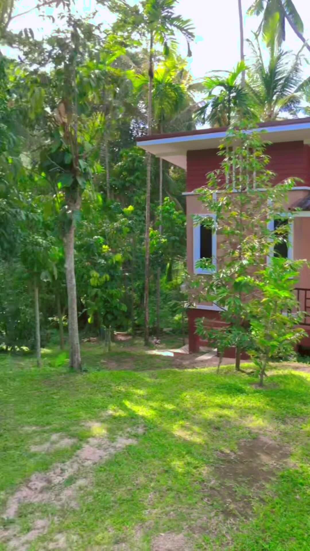 Video realizado por la propiedad