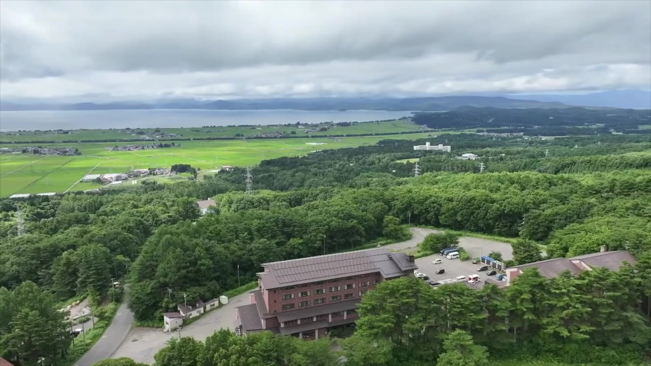 Property video