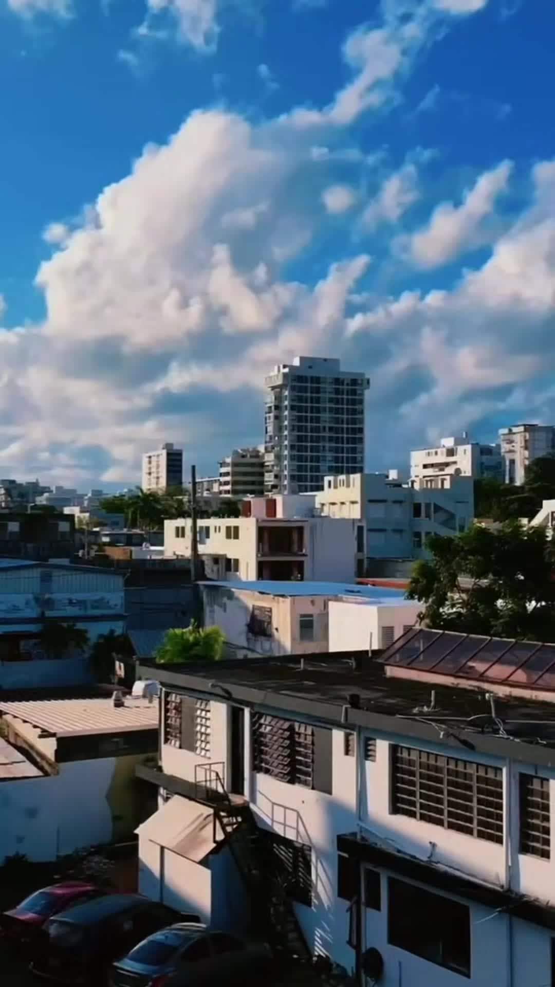 Video realizado por la propiedad