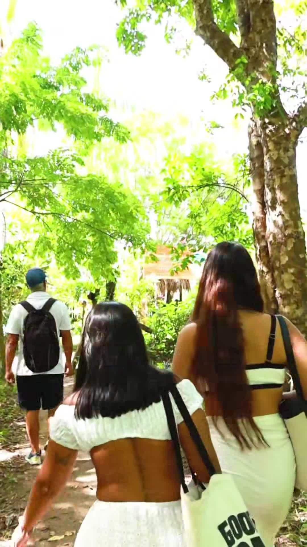 Video realizado por la propiedad