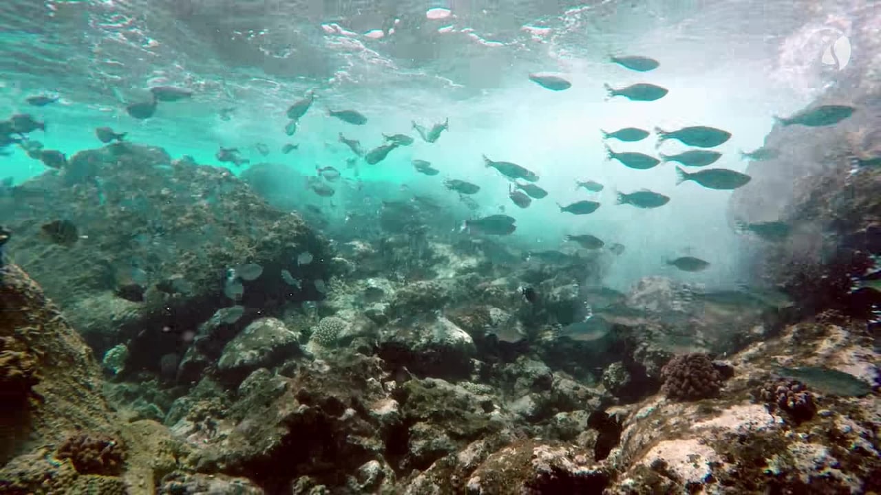 Video der Unterkunft
