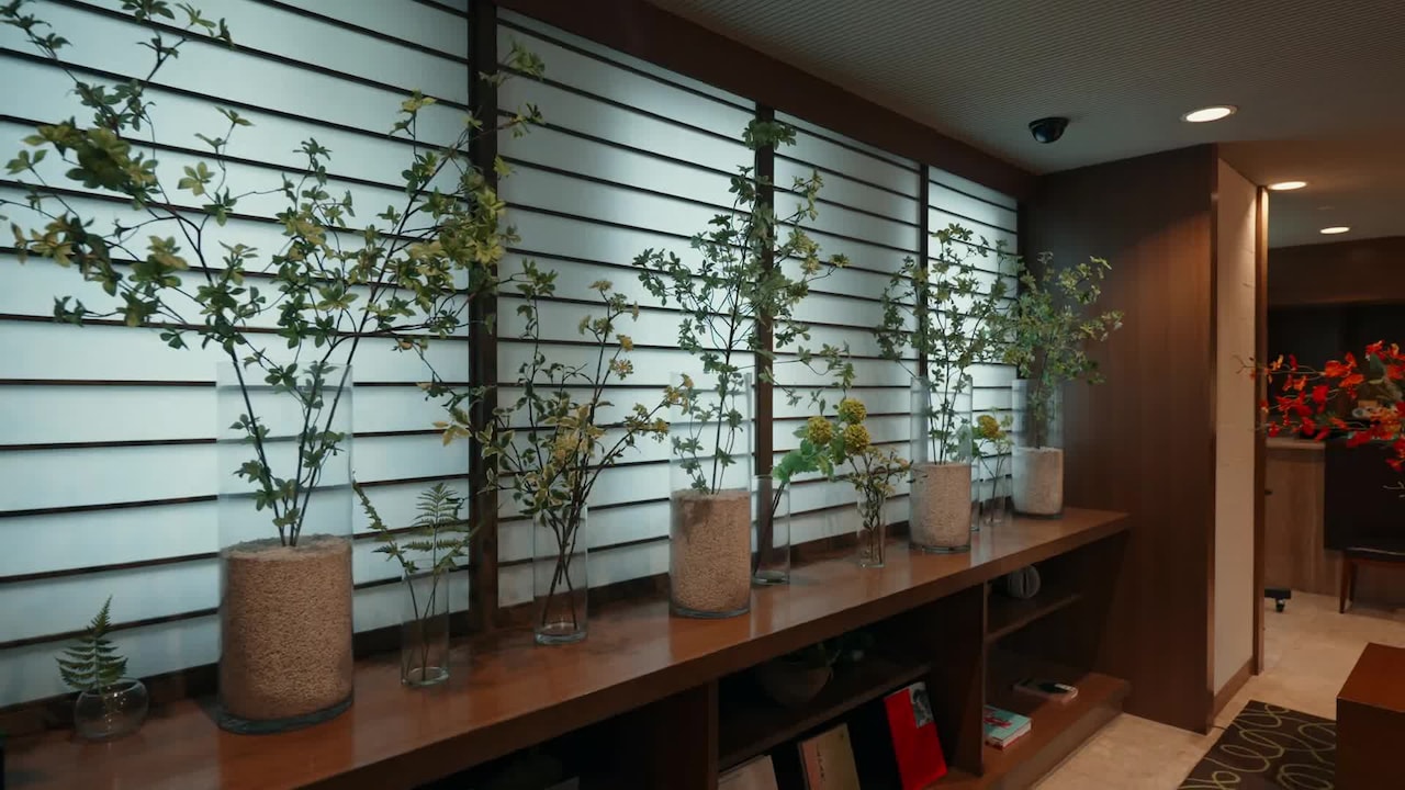 Vídeo hecho por el alojamiento