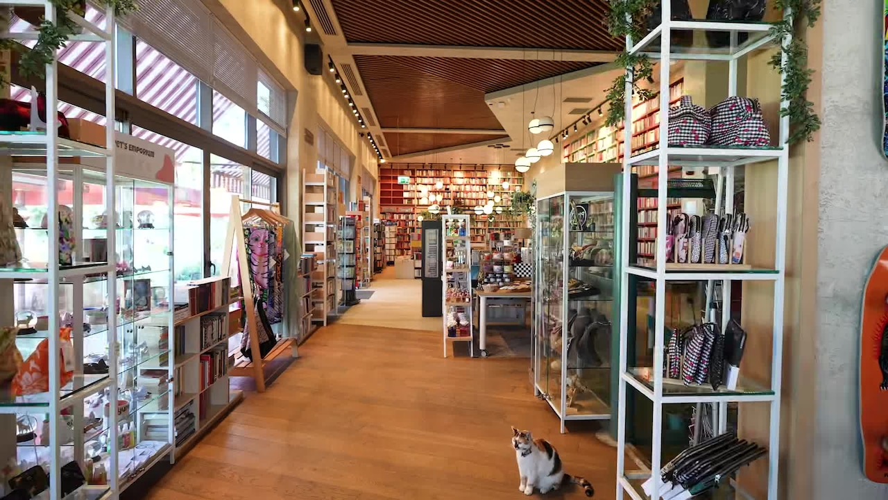 Vídeo da propriedade