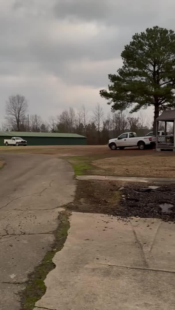 Property video