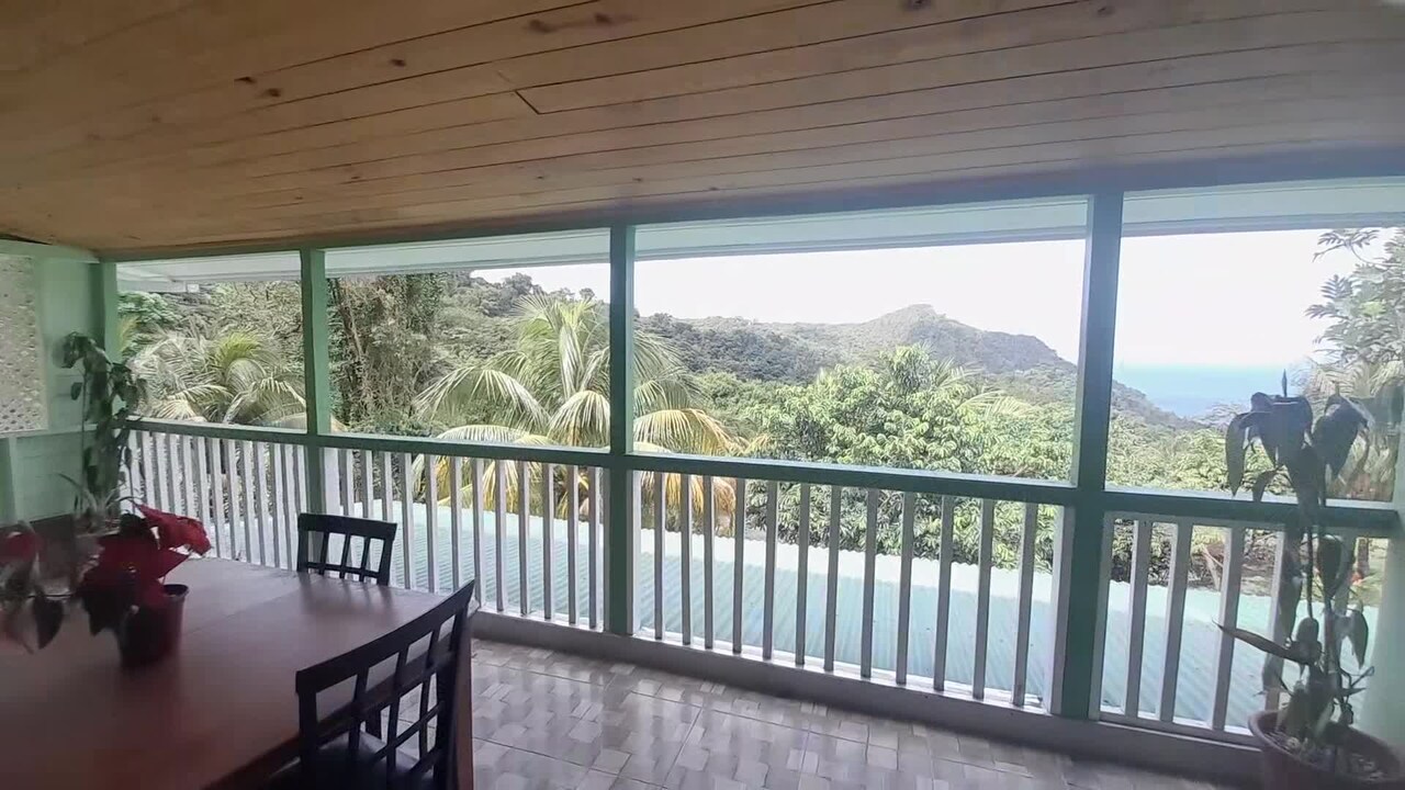Property video