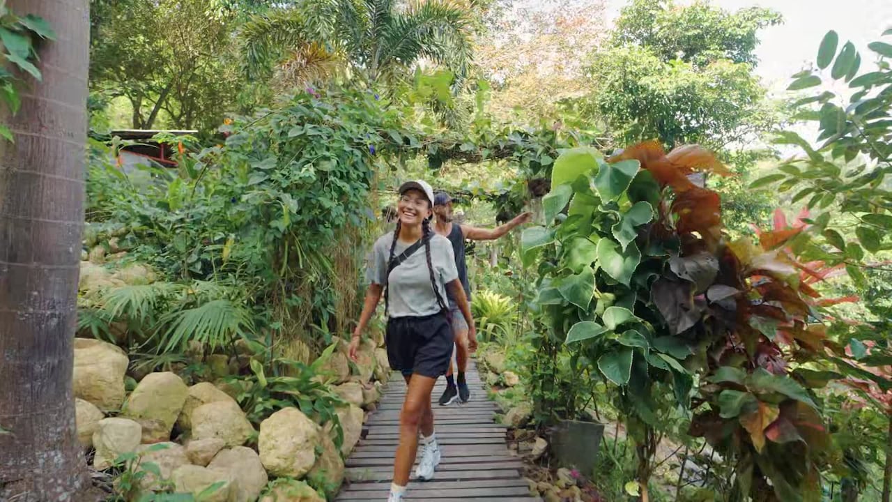 Property video