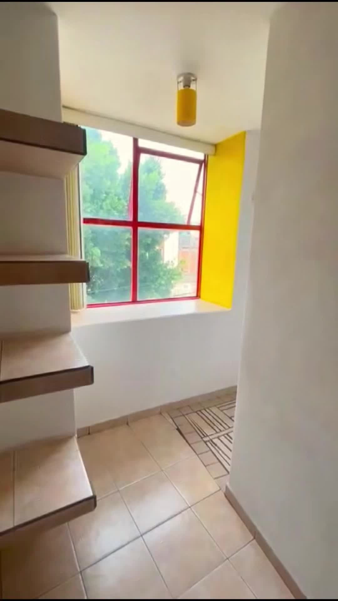 Video realizado por la propiedad
