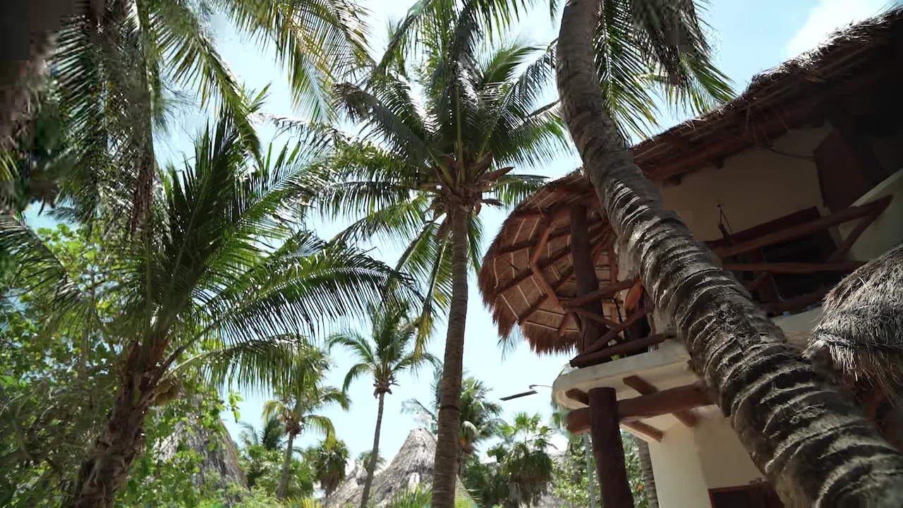 Vídeo fet per l’allotjament