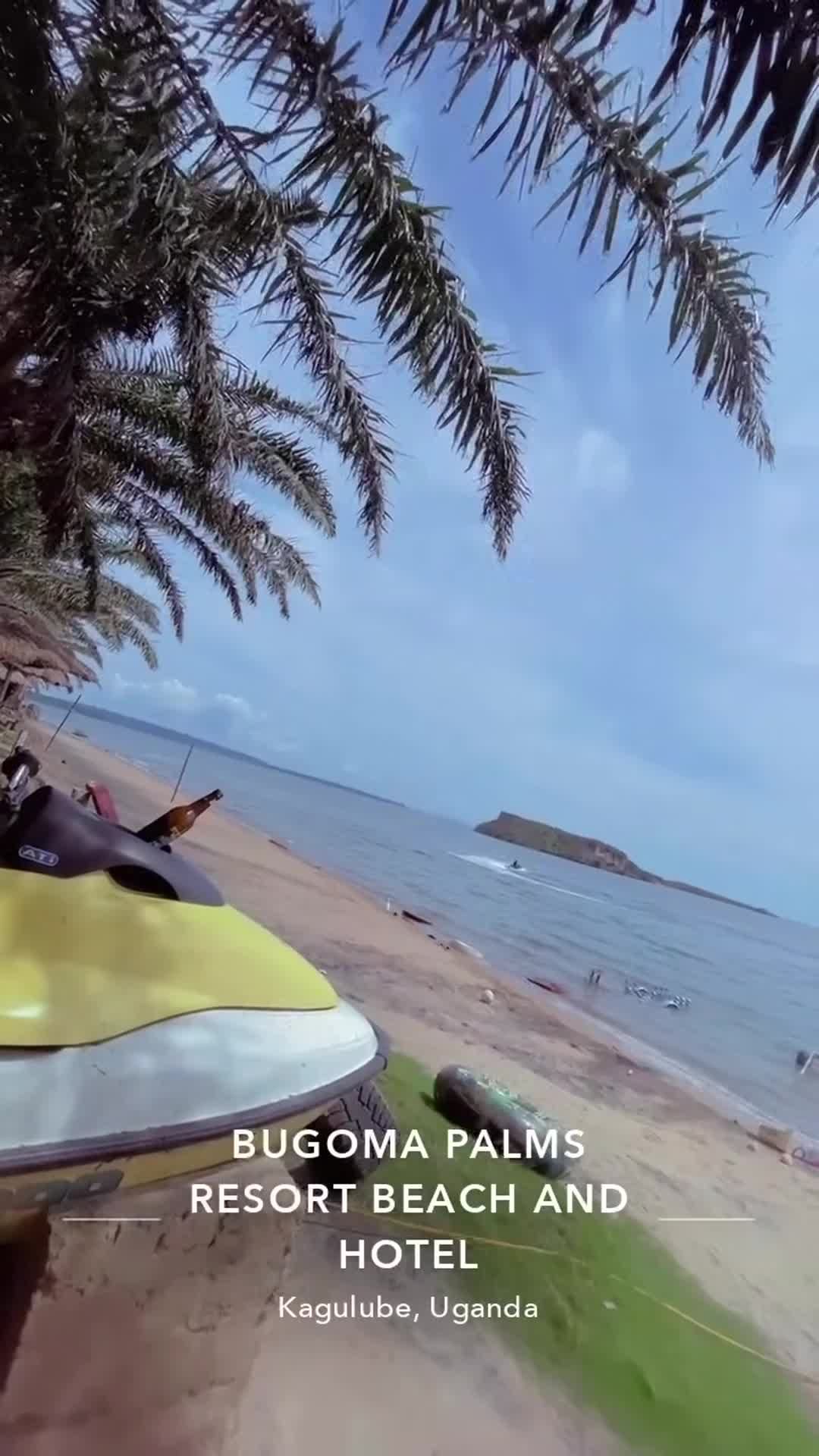 Vídeo fet per l’allotjament