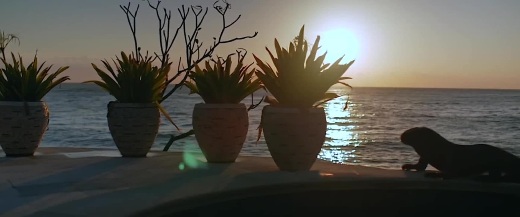 Property video