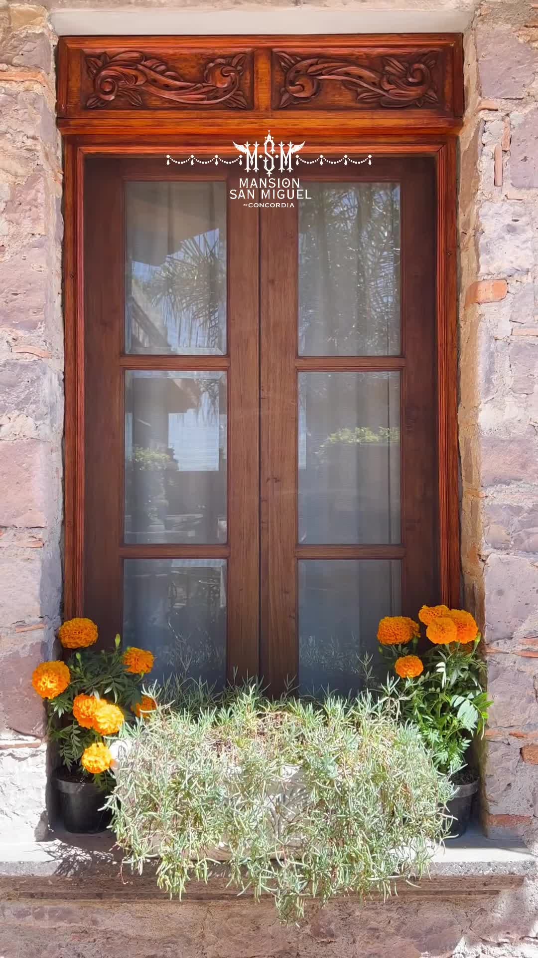 Property video