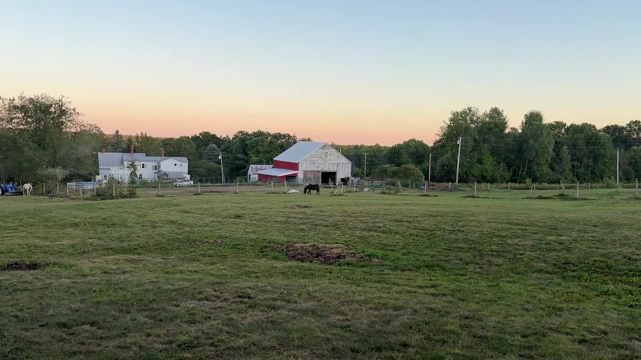 Property video