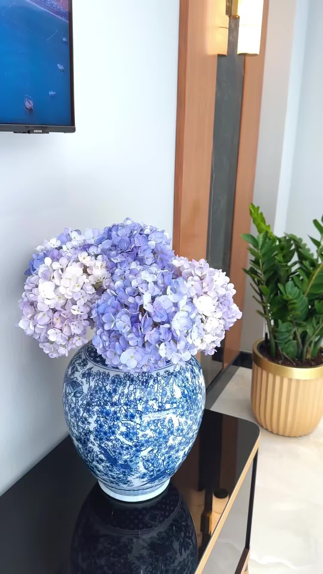 Video realizado por la propiedad