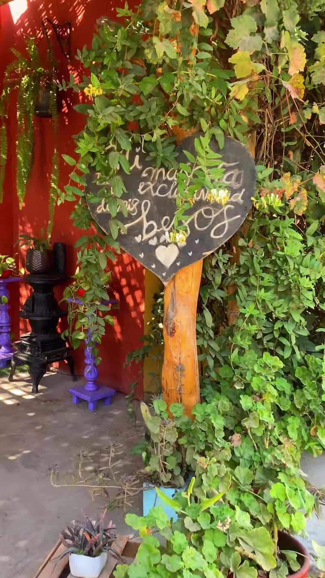 Video der Unterkunft