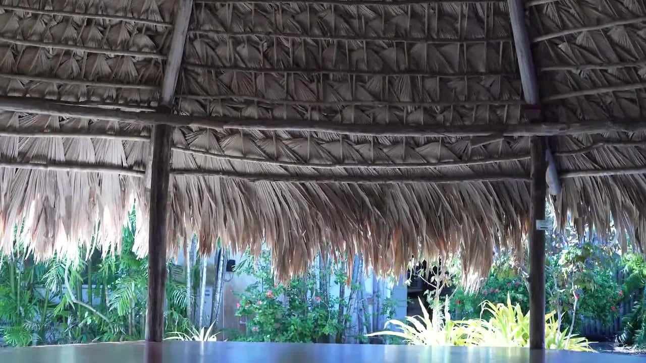 Video der Unterkunft