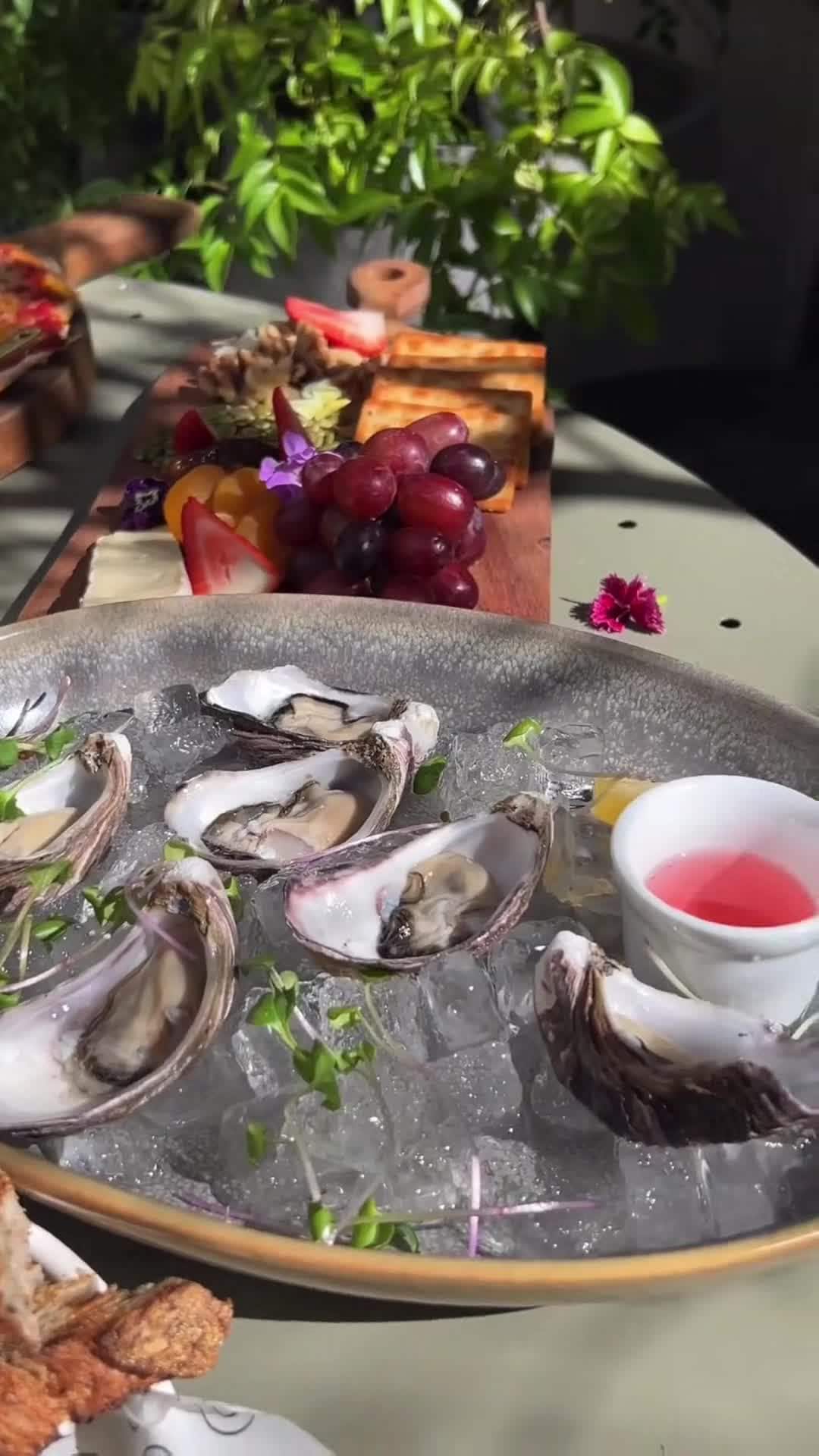 Video realizado por la propiedad