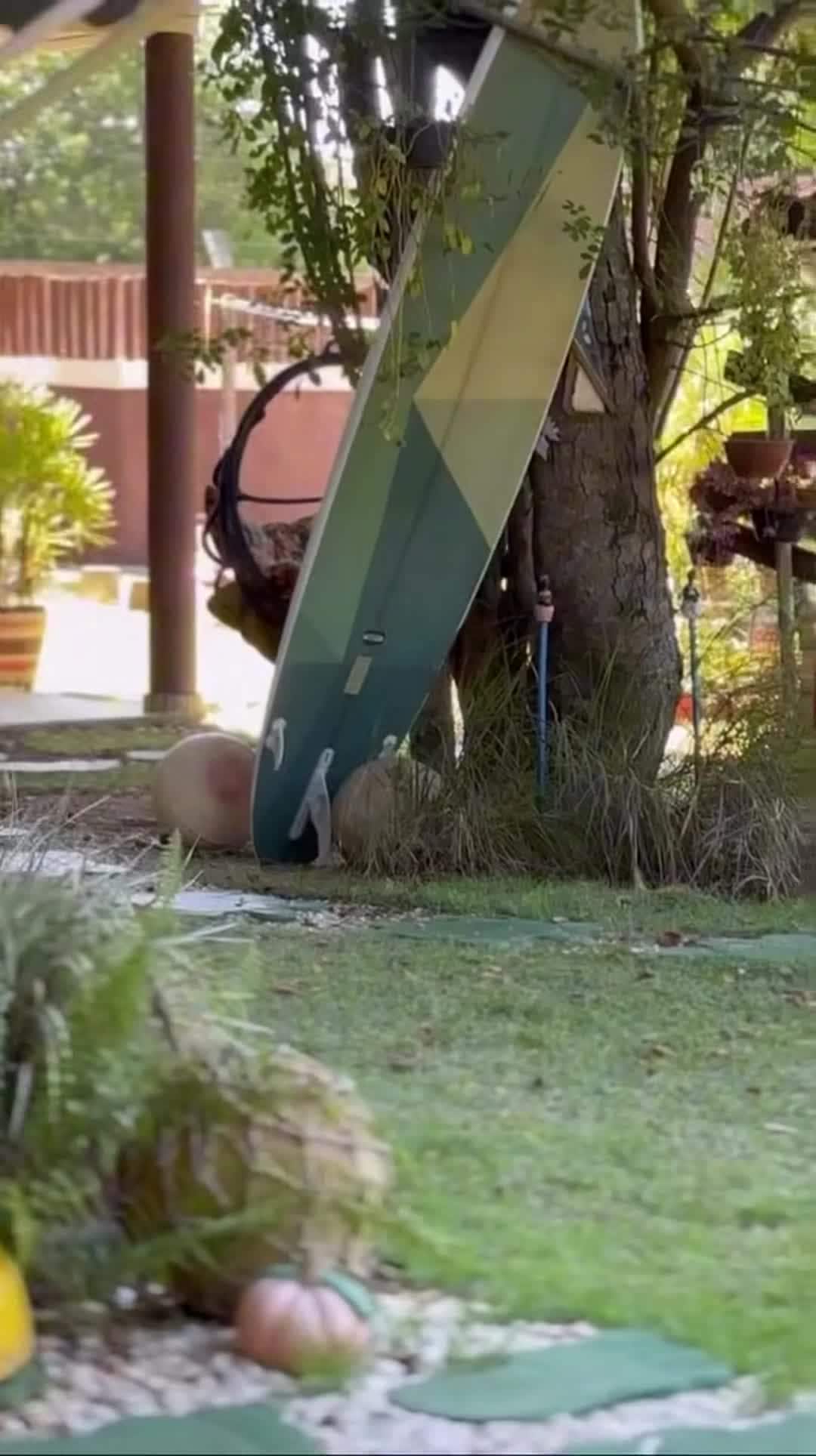 Property video