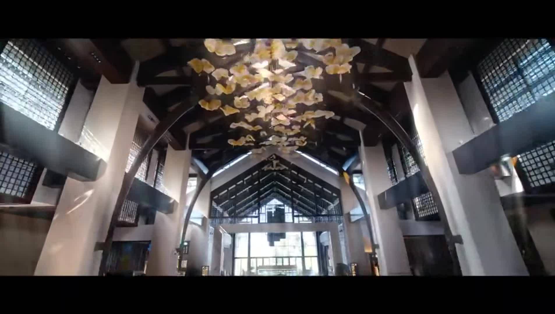 Property video