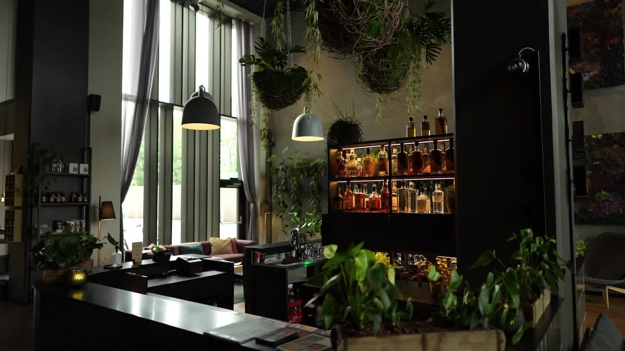 Property video