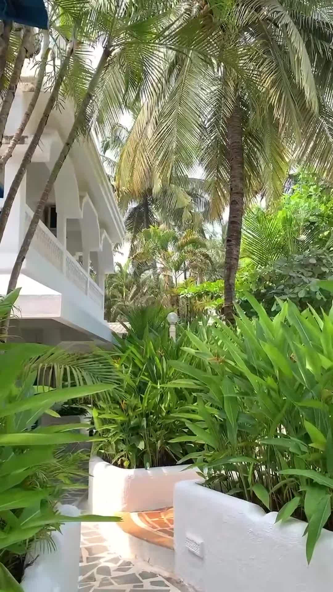 Property video