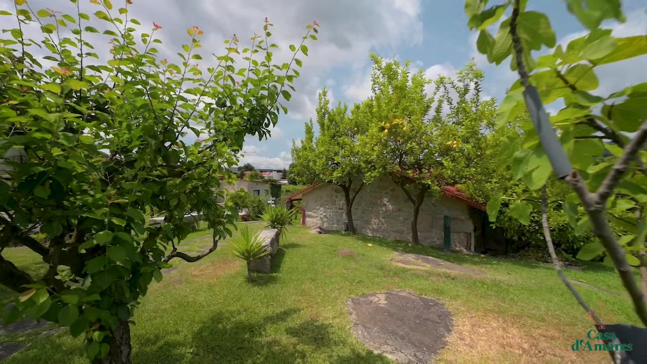 Property video