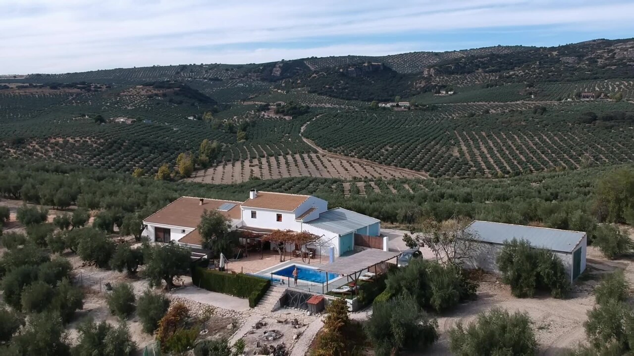 Property video