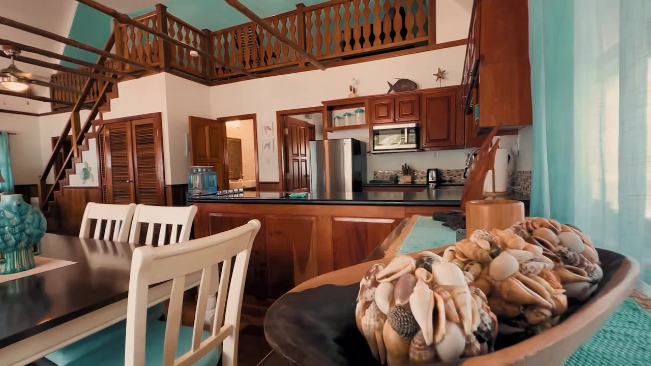 Property video