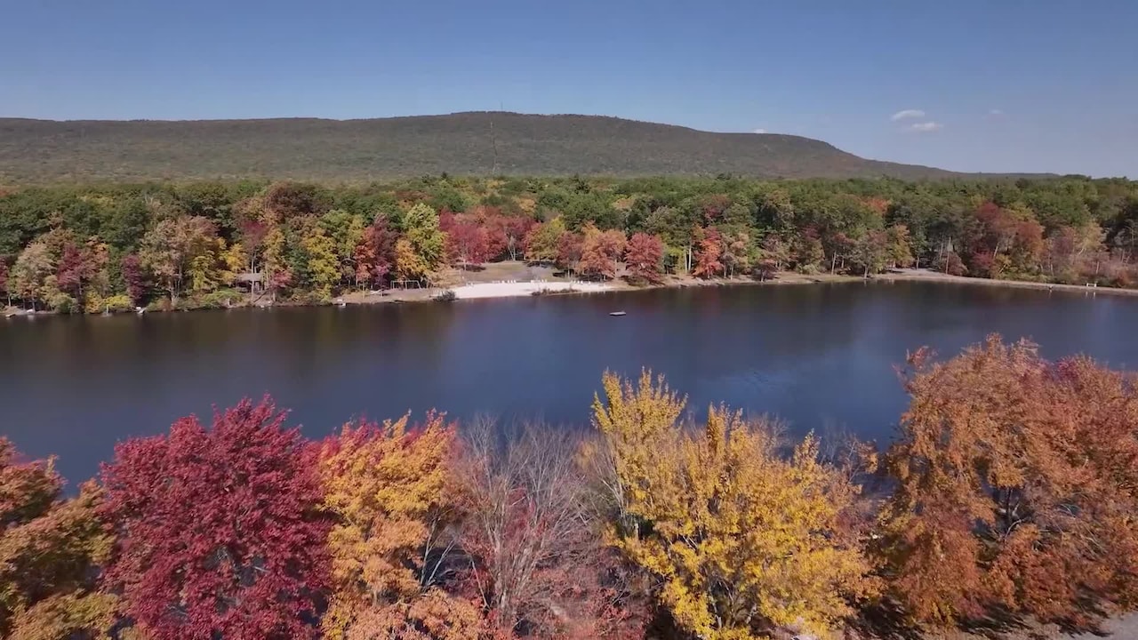 Video realizado por la propiedad