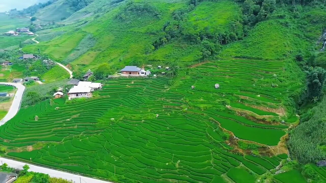Property video