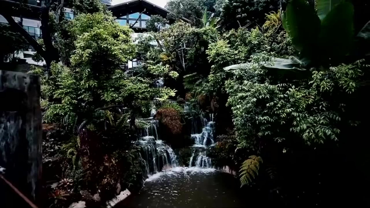 Property video